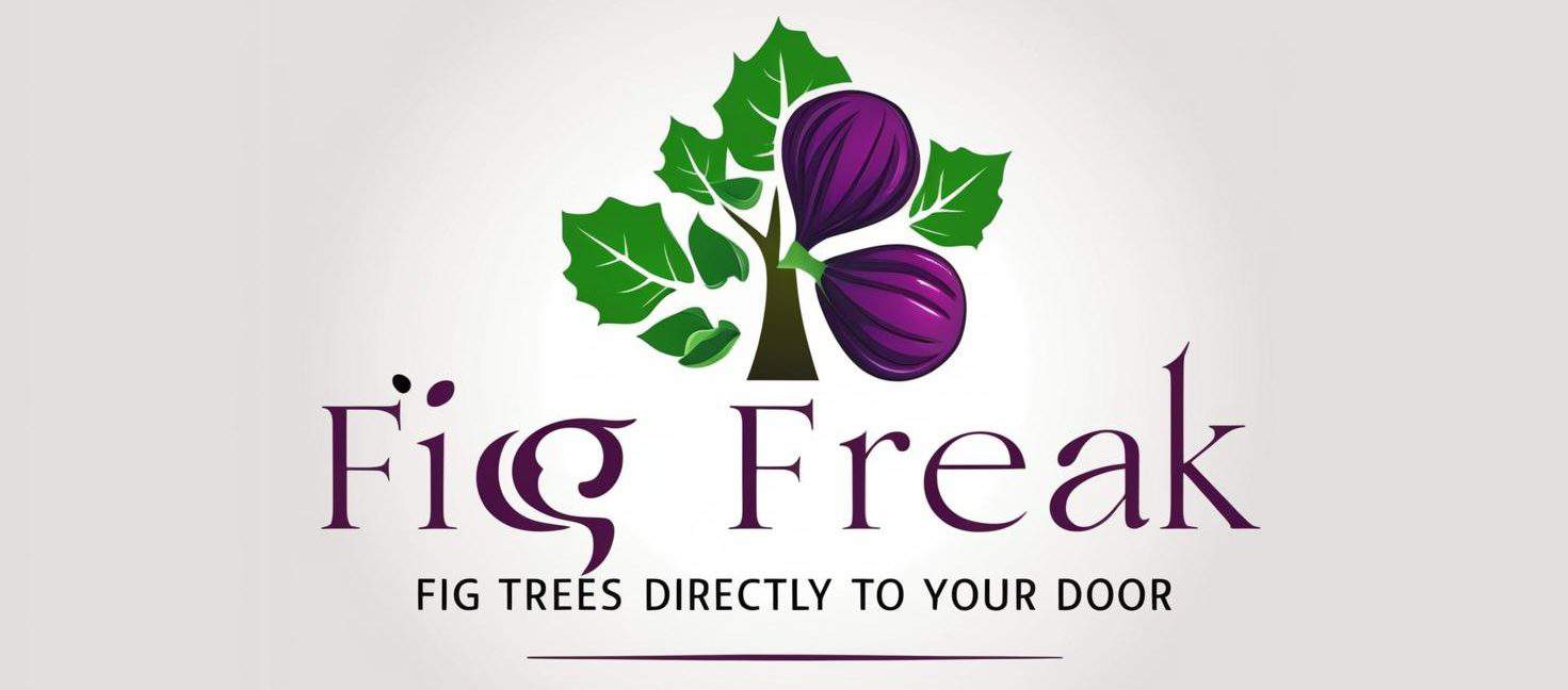 Fig Freak